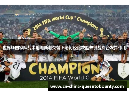 世界杯国家队战术前瞻新老交替下老将经验决胜关键战舞台发挥作用