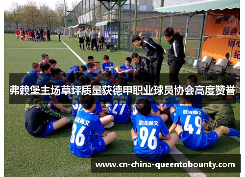 弗赖堡主场草坪质量获德甲职业球员协会高度赞誉